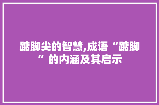 踮脚尖的智慧,成语“踮脚”的内涵及其启示 反义词汇