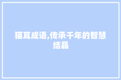 猫耳成语,传承千年的智慧结晶