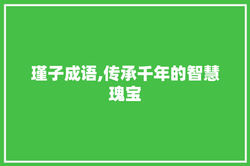 瑾子成语,传承千年的智慧瑰宝