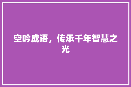空吟成语，传承千年智慧之光