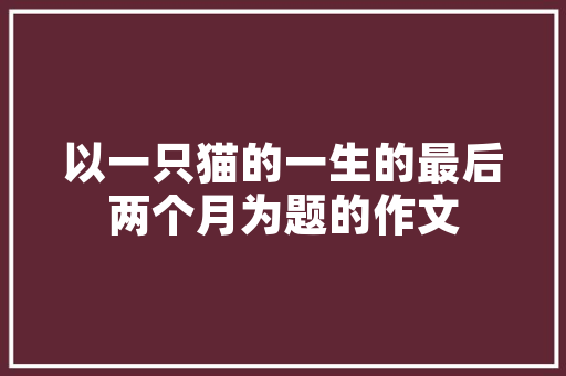 网店应急计划,构建稳固的电商防线