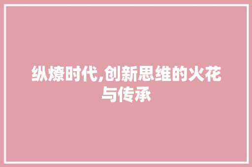 纵燎时代,创新思维的火花与传承