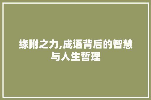 缘附之力,成语背后的智慧与人生哲理