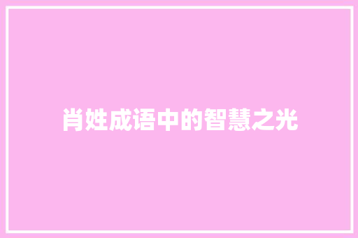 肖姓成语中的智慧之光 短语