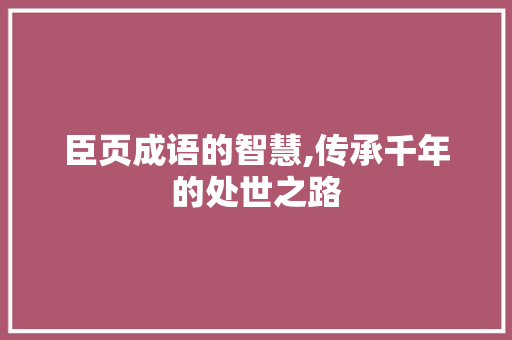 臣页成语的智慧,传承千年的处世之路 反义词汇