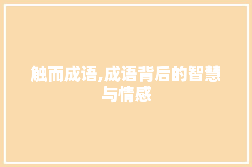 触而成语,成语背后的智慧与情感