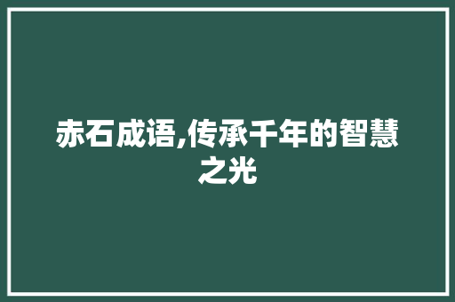 赤石成语,传承千年的智慧之光 反义词汇