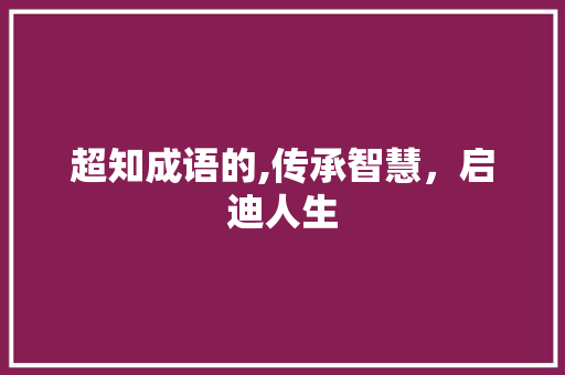超知成语的,传承智慧，启迪人生