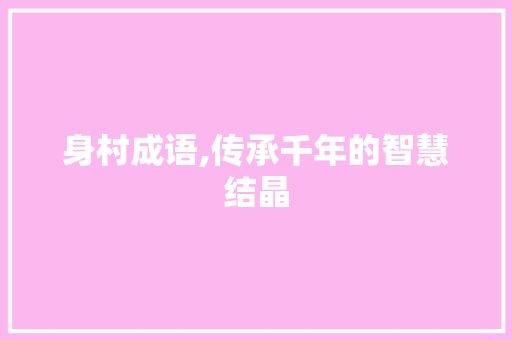 身村成语,传承千年的智慧结晶 成语汇编