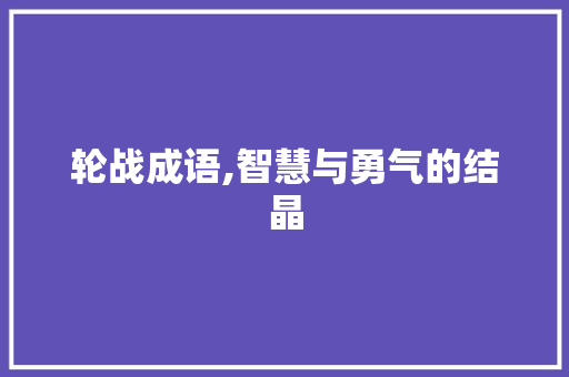 轮战成语,智慧与勇气的结晶