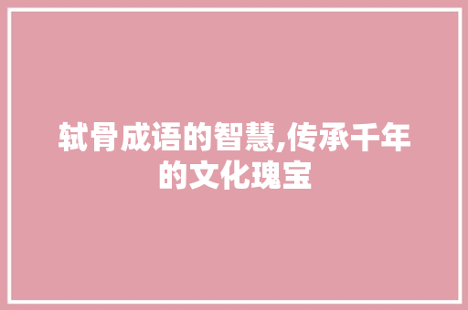 轼骨成语的智慧,传承千年的文化瑰宝