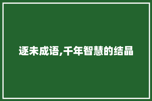 逐未成语,千年智慧的结晶 英语单词