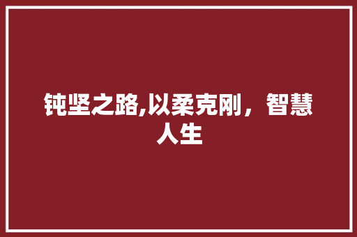 钝坚之路,以柔克刚，智慧人生