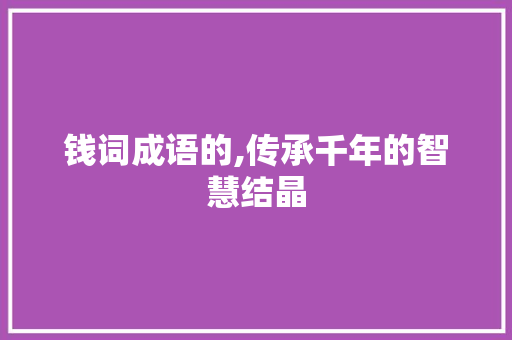 钱词成语的,传承千年的智慧结晶