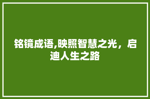 铭镜成语,映照智慧之光，启迪人生之路
