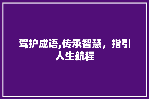 驾护成语,传承智慧，指引人生航程