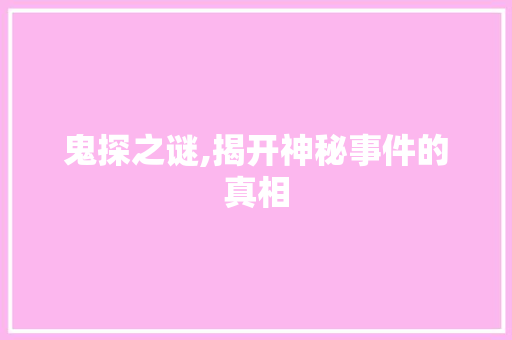 鬼探之谜,揭开神秘事件的真相 成语汇编