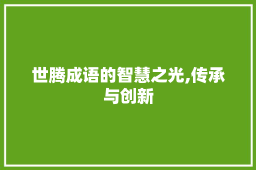 世腾成语的智慧之光,传承与创新