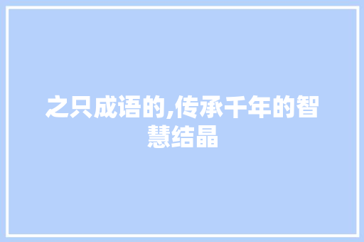 之只成语的,传承千年的智慧结晶