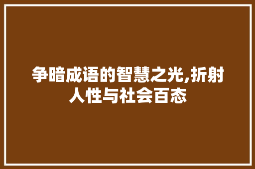 争暗成语的智慧之光,折射人性与社会百态