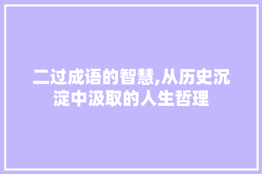 二过成语的智慧,从历史沉淀中汲取的人生哲理