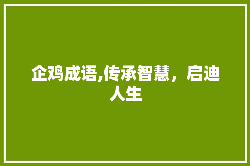 企鸡成语,传承智慧，启迪人生 成语汇编