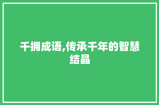千拥成语,传承千年的智慧结晶