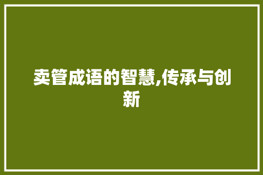 卖管成语的智慧,传承与创新