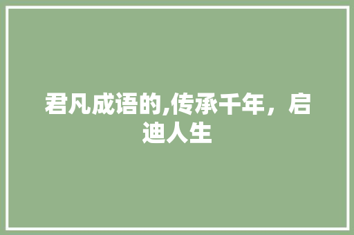 君凡成语的,传承千年，启迪人生