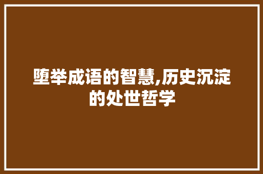 堕举成语的智慧,历史沉淀的处世哲学 短语