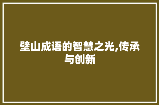 壁山成语的智慧之光,传承与创新
