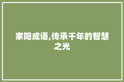 家阳成语,传承千年的智慧之光
