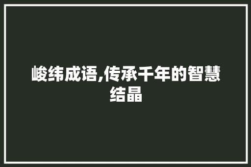 峻纬成语,传承千年的智慧结晶