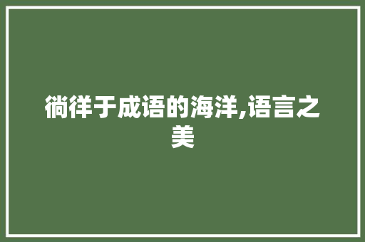 徜徉于成语的海洋,语言之美