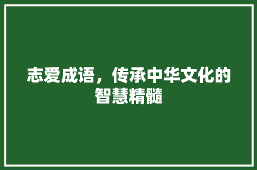 志爱成语，传承中华文化的智慧精髓