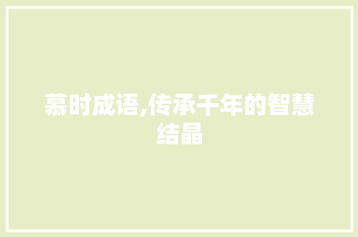 慕时成语,传承千年的智慧结晶 古代典籍