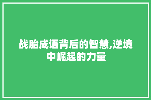 战胎成语背后的智慧,逆境中崛起的力量
