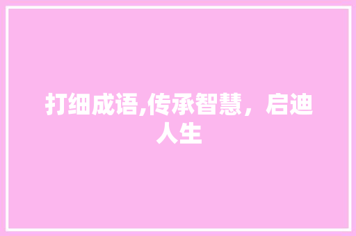 打细成语,传承智慧，启迪人生