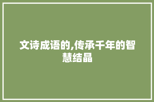 文诗成语的,传承千年的智慧结晶