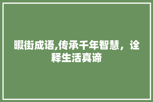 暇街成语,传承千年智慧，诠释生活真谛
