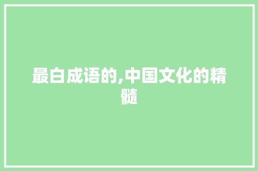 最白成语的,中国文化的精髓 近义词汇