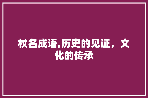 杖名成语,历史的见证，文化的传承 英语单词