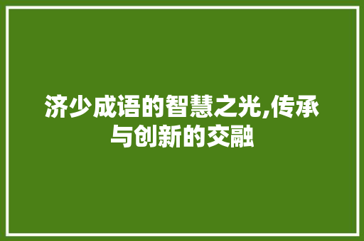 济少成语的智慧之光,传承与创新的交融