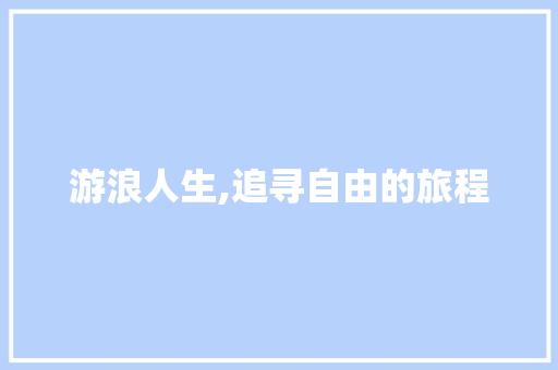 游浪人生,追寻自由的旅程