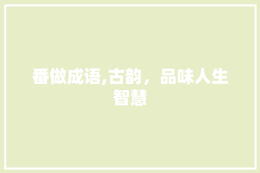 番做成语,古韵，品味人生智慧