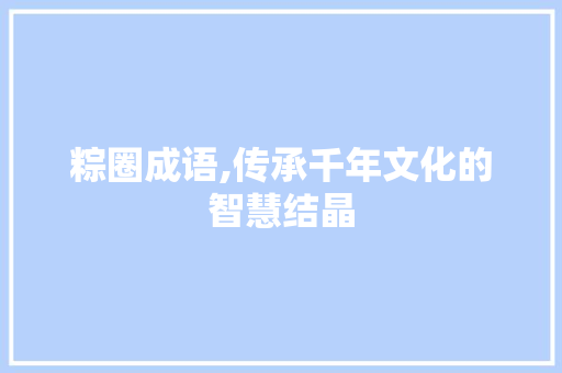 粽圈成语,传承千年文化的智慧结晶