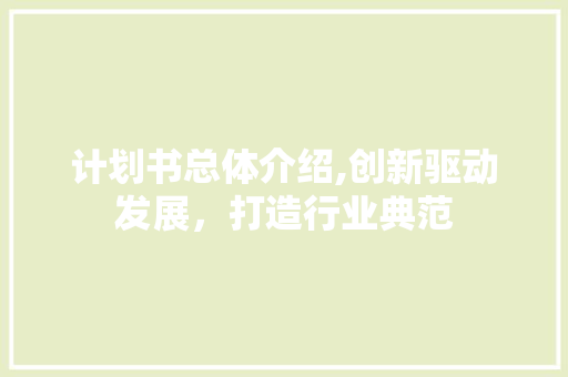 计划书总体介绍,创新驱动发展，打造行业典范
