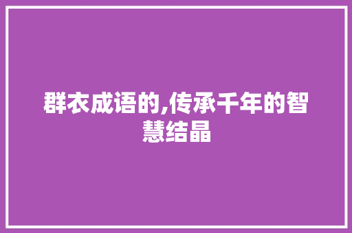 群衣成语的,传承千年的智慧结晶