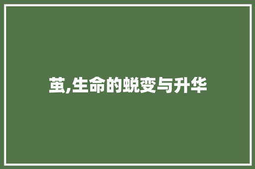 茧,生命的蜕变与升华 近义词汇