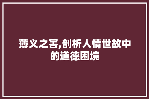 薄义之害,剖析人情世故中的道德困境